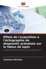 Image for Effets de l&#39;exposition a l&#39;echographie de diagnostic prenatale sur le foetus de lapin
