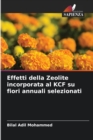Image for Effetti della Zeolite incorporata al KCF su fiori annuali selezionati