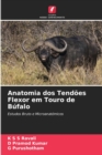 Image for Anatomia dos Tendoes Flexor em Touro de Bufalo