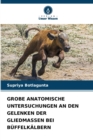 Image for Grobe Anatomische Untersuchungen an Den Gelenken Der Gliedmassen Bei Buffelkalbern
