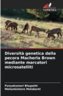 Image for Diversita genetica della pecora Macherla Brown mediante marcatori microsatelliti