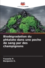 Image for Biodegradation du phtalate dans une poche de sang par des champignons