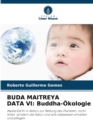 Image for Buda Maitreya Data VI