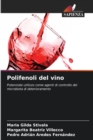 Image for Polifenoli del vino