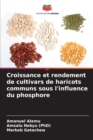 Image for Croissance et rendement de cultivars de haricots communs sous l&#39;influence du phosphore