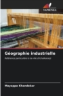 Image for Geographie industrielle