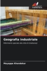 Image for Geografia industriale