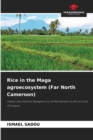 Image for Rice in the Maga agroecosystem (Far North Cameroon)