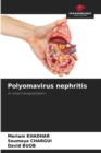 Image for Polyomavirus nephritis