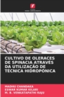 Image for Cultivo de Oleraces de Spinacia Atraves Da Utilizacao de Tecnica Hidroponica