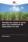 Image for Variete de canne a sucre pour les conditions de saturation en eau