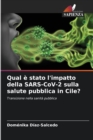 Image for Qual e stato l&#39;impatto della SARS-CoV-2 sulla salute pubblica in Cile?