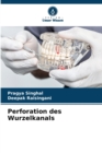Image for Perforation des Wurzelkanals