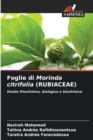 Image for Foglie di Morinda citrifolia (RUBIACEAE)