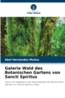 Image for Galerie Wald des Botanischen Gartens von Sancti Spiritus