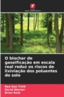 Image for O biochar de gaseificacao em escala real reduz os riscos de lixiviacao dos poluentes do solo
