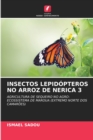 Image for Insectos Lepidopteros No Arroz de Nerica 3