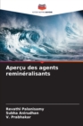 Image for Apercu des agents remineralisants