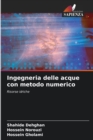 Image for Ingegneria delle acque con metodo numerico