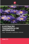 Image for Ilustracao Taxonomica de Asteraceae