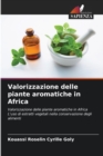 Image for Valorizzazione delle piante aromatiche in Africa