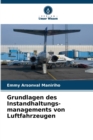 Image for Grundlagen des Instandhaltungs-managements von Luftfahrzeugen