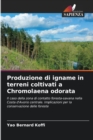 Image for Produzione di igname in terreni coltivati a Chromolaena odorata