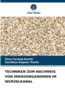 Image for Techniken Zum Nachweis Von Mikroorganismen Im Wurzelkanal
