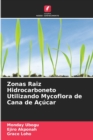 Image for Zonas Raiz Hidrocarboneto Utilizando Mycoflora de Cana de Acucar