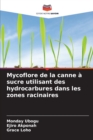 Image for Mycoflore de la canne a sucre utilisant des hydrocarbures dans les zones racinaires