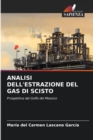 Image for Analisi Dell&#39;estrazione del Gas Di Scisto
