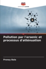 Image for Pollution par l&#39;arsenic et processus d&#39;attenuation