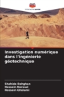 Image for Investigation numerique dans l&#39;ingenierie geotechnique