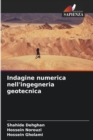Image for Indagine numerica nell&#39;ingegneria geotecnica