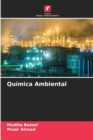 Image for Quimica Ambiental