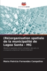 Image for (Re)organisation spatiale de la municipalite de Lagoa Santa - MG