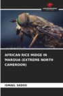 Image for African Rice Midge in Maroua (Extreme North Cameroon)