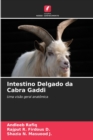 Image for Intestino Delgado da Cabra Gaddi