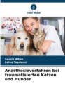 Image for Anasthesieverfahren bei traumatisierten Katzen und Hunden