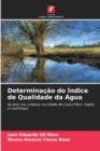 Image for Determinacao do Indice de Qualidade da Agua