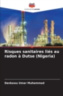 Image for Risques sanitaires lies au radon a Dutse (Nigeria)