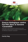 Image for Guerre biologique contre FocTR4 dans la banane &#39;Cavendish&#39;