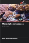 Image for Meraviglie subacquee