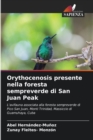 Image for Orythocenosis presente nella foresta sempreverde di San Juan Peak