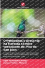 Image for Orythocenosis presente na floresta sempre verdejante do Pico de San Juan