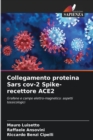 Image for Collegamento proteina Sars cov-2 Spike- recettore ACE2