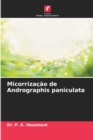 Image for Micorrizacao de Andrographis paniculata