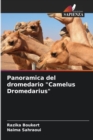 Image for Panoramica del dromedario &quot;Camelus Dromedarius&quot;
