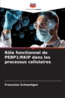 Image for Role fonctionnel de PEBP1/RKIP dans les processus cellulaires