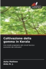 Image for Coltivazione della gomma in Kerala